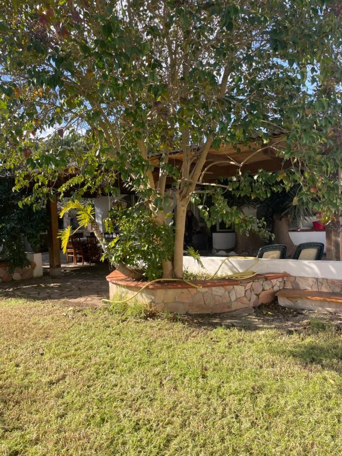 Roy House Villa Alghero Exterior foto
